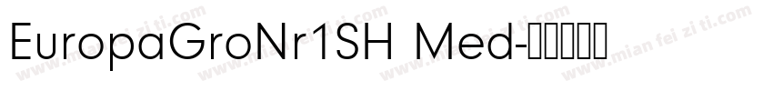 EuropaGroNr1SH Med字体转换